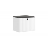 Тумба для обуви «Тиффани» Исп.2.1 - 307.003.000 Белый снег, Белый софт