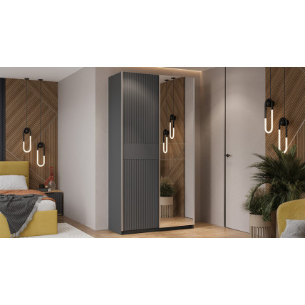 Шкаф-купе с 1 глухой и 1 зеркальной дверями «Оскар Хилтон» Тип 2 Ручка серебро, Серый графит, Графит матовый